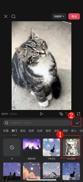 宠物写真 样张 2